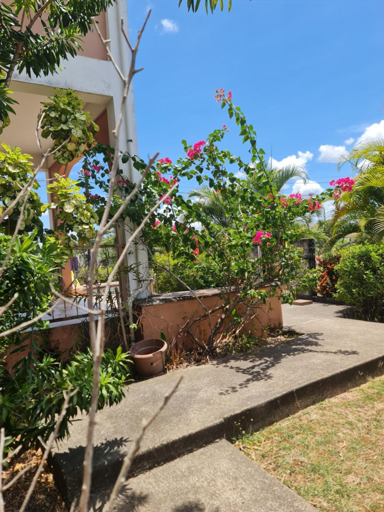 Gm Suites Bed & Breakfast Belmopan Exterior photo